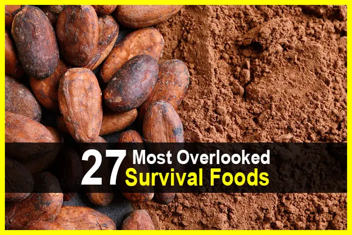 27 Most Overlooked Survival Foods