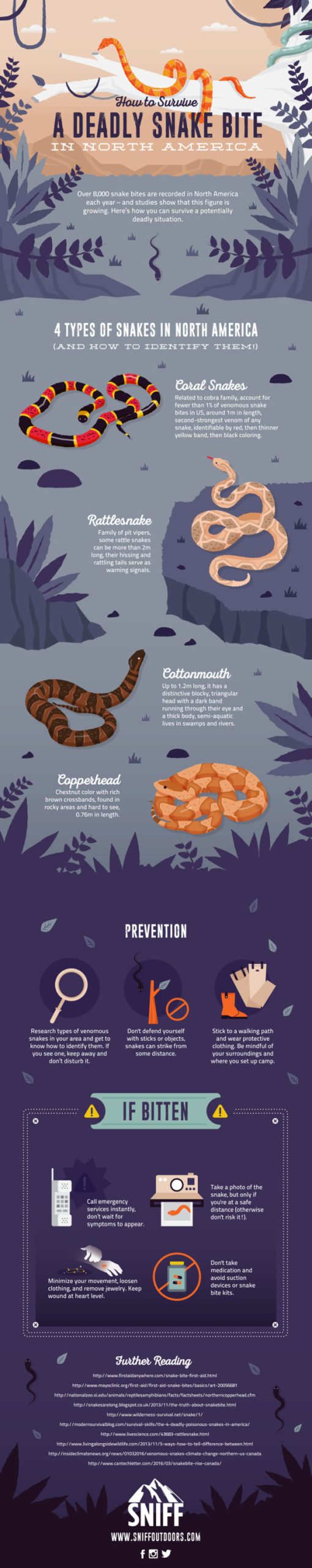 How You Can Prevent (and Treat!) Venomous Snake Bites