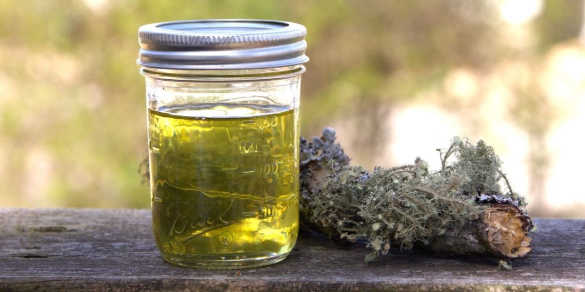 Making Usnea Oil: A Functional Friend for Field and Hearth