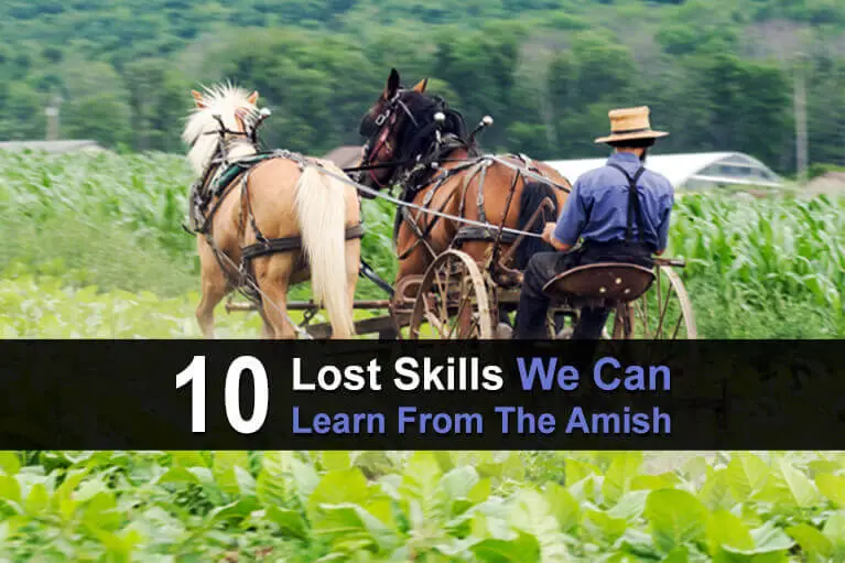 13 Lost Skills We Can Learn From The Amish