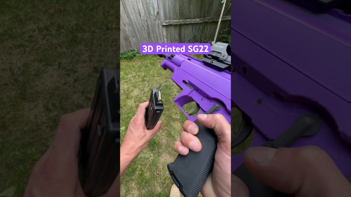 3D Printed 22LR First Shots!