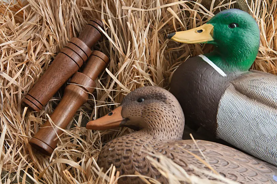 Best Duck Calls for Better Hunting Results