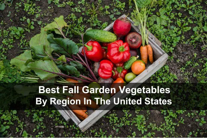 Best Fall Garden Vegetables By Region In The U.S.