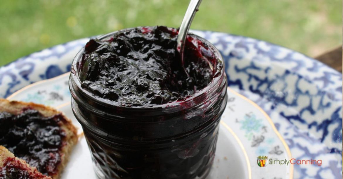 Low Sugar Blue Berry Jam (or No Sugar!)