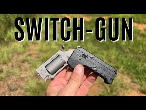 SWITCH GUN the Coolest 22 MAG EVER