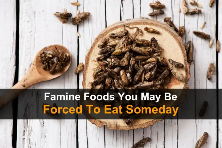 Famine Foods You Might Be Forced To Eat Someday