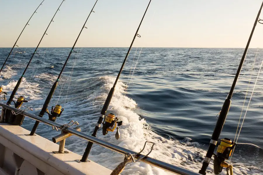 How to Go Deep-Sea Fishing? Tips for a Thrilling Escape