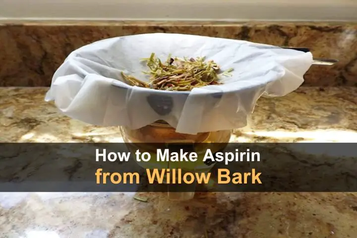 How to Make Aspirin from Willow Bark