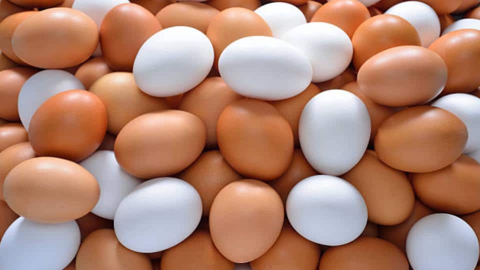 How to Store Fresh Eggs Long Term