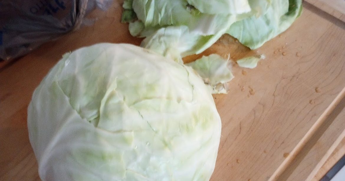 Simply Self Sufficiency: Sauerkraut Day