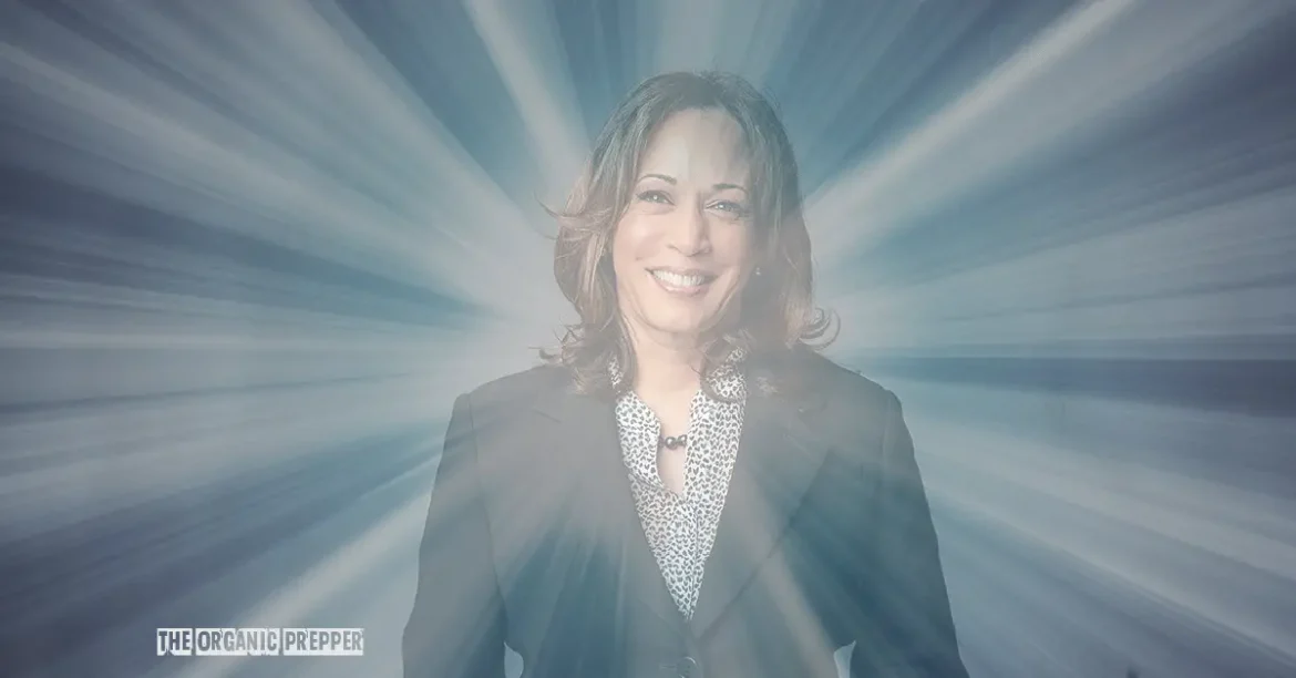 The Shiny New Kamala Harris That Propaganda Built