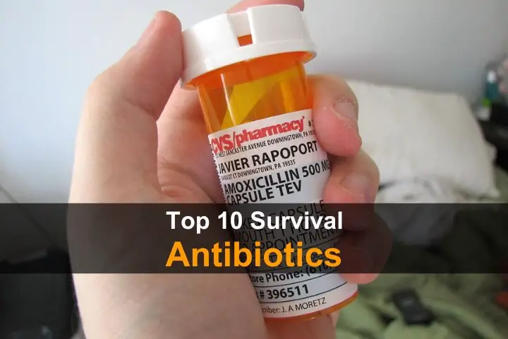 Top 10 Survival Antibiotics