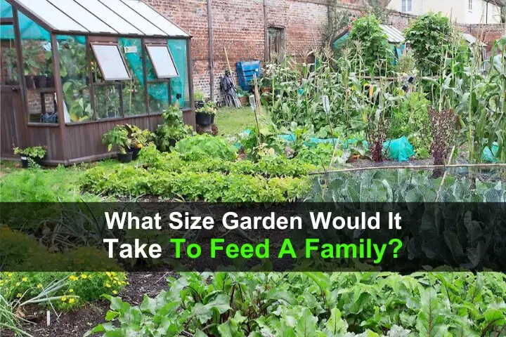 What Size Garden Would It Take to Feed a Family?