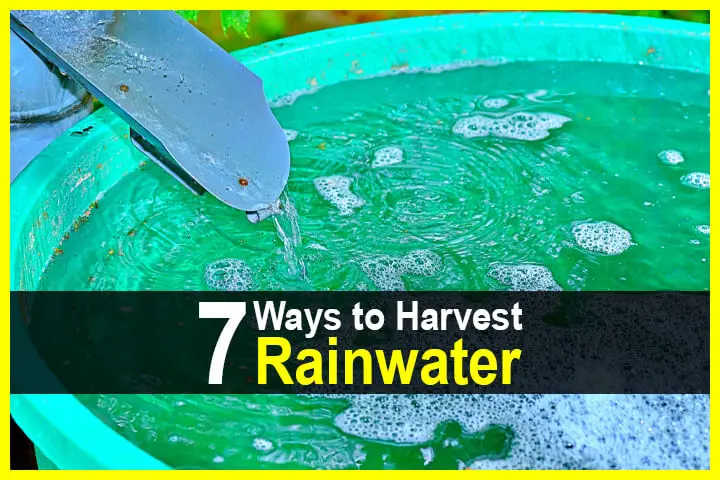 7 Ways to Harvest Rainwater