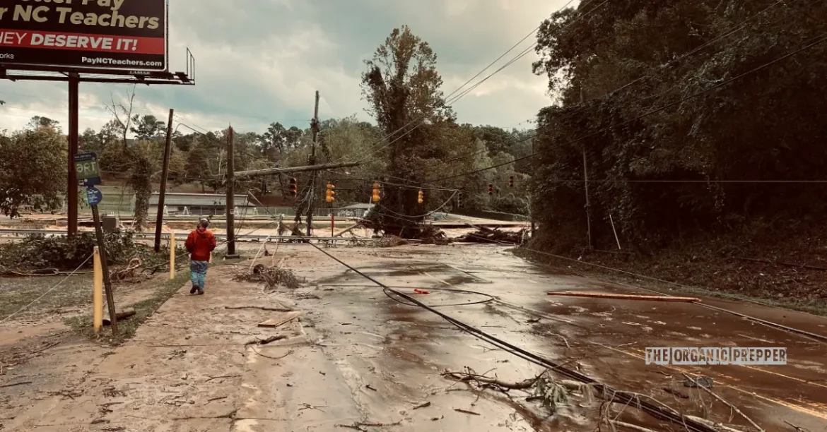 How People Are “Not Being Forced Off Their Land” in WNC